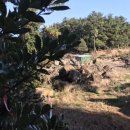 제석농장 이미지