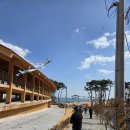 폐철로 | [울산 여행] 아이와 가볼만한곳 간절곶! 무료 주차 &amp; 정크아트 포토존 실시간 후기 (ft. 바다 생물 체험)