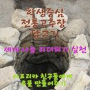 풍성초등학교 이미지