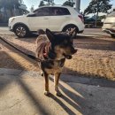 정우사우나 | 와...너 정말 **핵심을 찔렀어** 즐거웠던 2025 연말결산