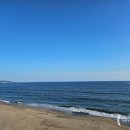 코코마라 이미지