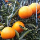 진표농장 이미지