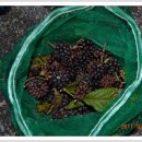 유한대학 이미지