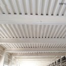 대정농장 이미지