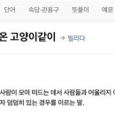 유얼데이