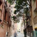 호텔24블럭 | 쉐라톤 멜버른 호텔 스위트룸 객실 수영장 조식 헬스장 후기