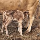 인우농장 이미지