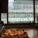 구포3동-3 이미지