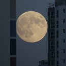 추석 달뜨는 시간, 100년 만에 가장 둥근 달 이미지
