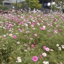 단원구청 삼거리 4 이미지