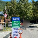 도심속캠핑장 이미지