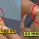 인디언걸 이미지