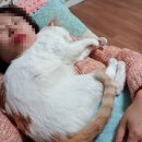 영도복지의원 | 임신5주,6주 가족보건의원에서 아기집초음파사진,먹덧~