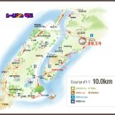 [테마2026년6월 27일 토요일][가평 아침고요수목원수국 축제 &amp;양평 양수리 물소리길 연꽃 축제 안내 이미지