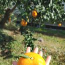 시은이네 농장 이미지