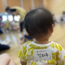 이든반려견 문화센터 | 대구 현풍 이든문화센터 토리토리 수강후기(여름학기/가을학기)