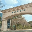 메이필드호텔전문학교 | 메이필드 호텔 서울 :: 수영장, 조식까지 만족했던 서울 호캉스 추천, 내돈내산 후기