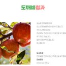 전주청과