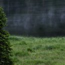 향남피부과의원 이미지