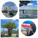 금강보행교 10 | 세종시 금강보행교(이응다리) 러닝 후기 사진스팟