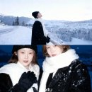 햄보케 | 햄보케요