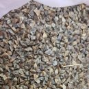 선학초등학교 이미지