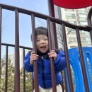 정후농장 네이버블로그