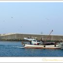 복사꽃공원 이미지