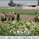 미곡농장 이미지