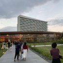 쪼이참치 이미지