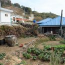 섬에 머물다 이미지