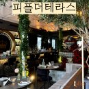 청담 테라스 맛집 피플더테라스 와인 후기