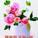 고운 이미지 2 이미지