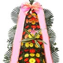 코아&2060 이미지