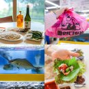 마산-중앙-중앙센터-03 | 강릉 중앙시장 먹거리 맛집 회센터 추천 강릉 횟집 오징어회 복어회 회포장