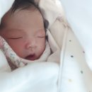 이라율 | 시지파티마여성병원,제왕절개출산후기