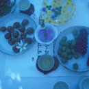 운곡허브 이미지