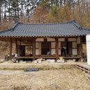 밤실경로당 Daum카페