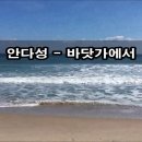 바닷가에서 Daum카페