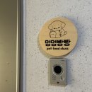 멍멍빵빵 이미지