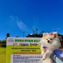 읍성 주차장 화장실 이미지