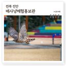 매사냥체험홍보관 이미지