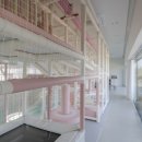 구공스테이도고키즈 이미지