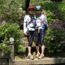 숲속의 둥지 이미지