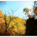 부여초등학교 이미지