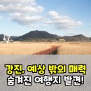 설록 | 강진 여행 후기: 설록다원부터 하맥축제까지, 솔직후기!