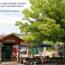 사과나무집 이미지