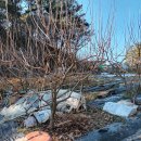 달천농장 이미지