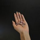 카멜레온호텔 이미지