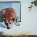 고향마을민박 이미지